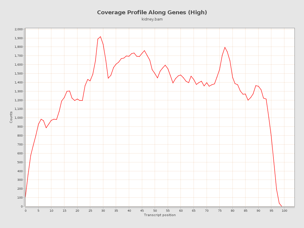 Qualimap report: RNA Seq QC